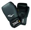 Everlast Everlast Leather Thai Style Training Gloves